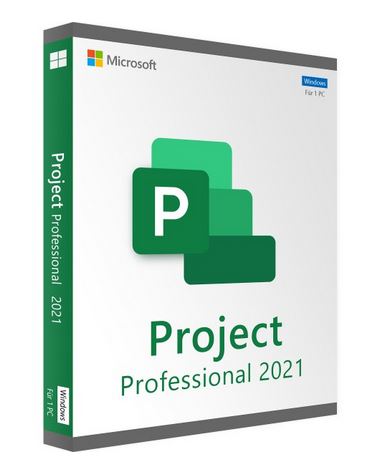 Microsoft Project 2021 Professional